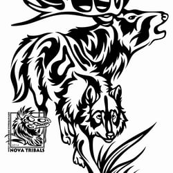 Wolf and Elk – Freie Arbeit