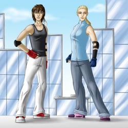 Hommage an Mirror’s Edge