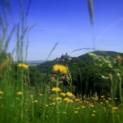 Wernigerode