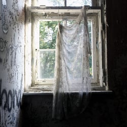 Fotografie