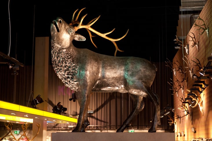 Der 3-Meter-Hirsch 2