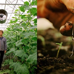 Portrait eines Gaertners und Geschichte eines Keimlings – Demeter Gärtnerei Piluweri – Freiburg
