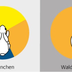 Sehfeld von Tieren