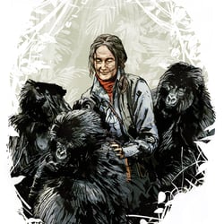 Portrait, Dian Fossey