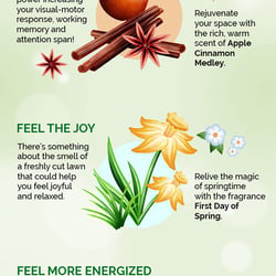 Infografik Airwick