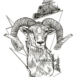Widder Grafik-Illustration