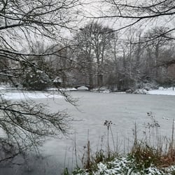 Winter in Bremen