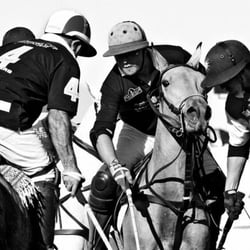 POLO_010