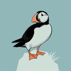 Papageientaucher