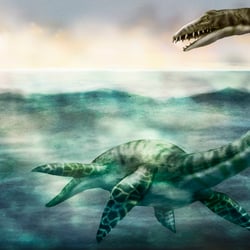 Elasmosaurus