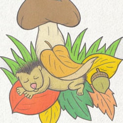 Kinderbuch
