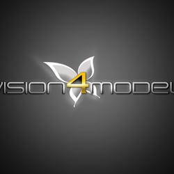 vision4model