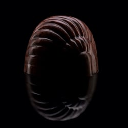 Schnecke 02 b