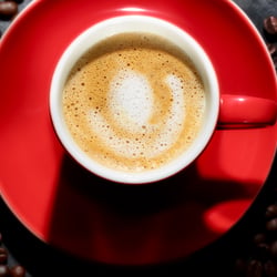 MICK SCHollin CafeCreme 2617 9666 5