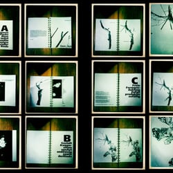 Fotografisch-Literarische Umsetzung einer Transformation. Ablauf.