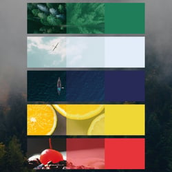 Brand Design Wald & See
