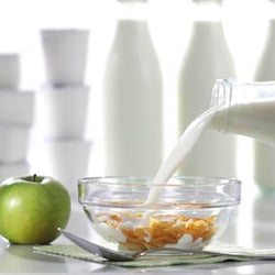 Milch
