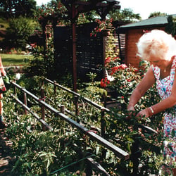 Schrebergarten 8