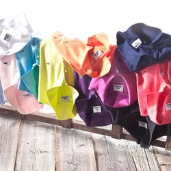 Polo Lacoste