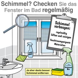 FB-R Fenster fürs Badezimmer 1