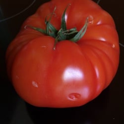 Fleischtomate Food Fotografie 2012