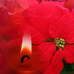 Weihnachtliche Kerze
