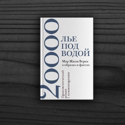 20.000 Meilen unter dem Meer, Cover
