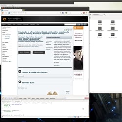 Web-Site „Poiesipedia.com“, lokale Entwicklungsversion auf VM