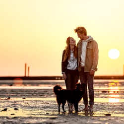 Hundeshooting in Ostfriesland