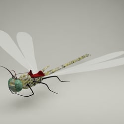 Libelle