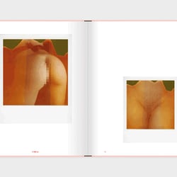 Slanted-Publishers-INSTANT-NUDES 15