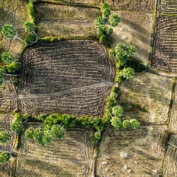 Reisfeld / Ricefield, Kambodscha / Cambodia (Luftbild mit einer Drohne)