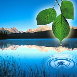 Lake