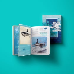 Buch im Eigenverlag – A Shark A Day – Zeichnungen und Informationen über Haie