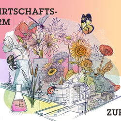 Illustrationen für die Ausgabe Nachhaltig leben in|pact media GmbH