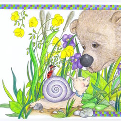 Bär und Schnecke