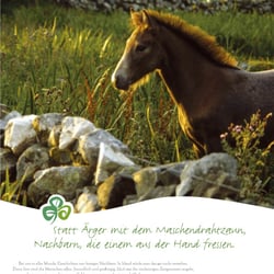 Konzeption und Umsetzung einer Image Kampagne für Tourism Ireland.  Agentur: McCann Erickson Frankfurt