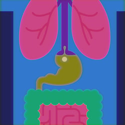 Animation „Vitaforte 200“
