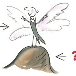 Was ist eine Motte?? – Einladung zu historischen Führungen