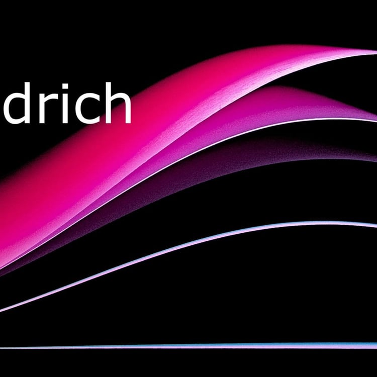 Dieter Friedrich