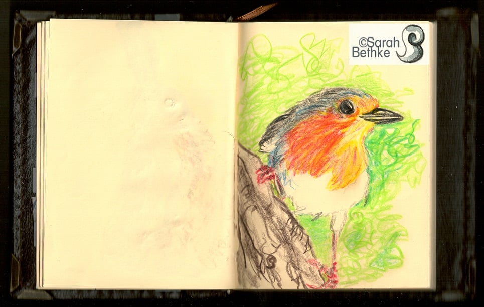 Comic Realistic3 Rotkehlchen