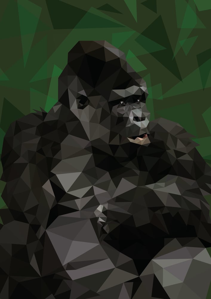PolyGorilla