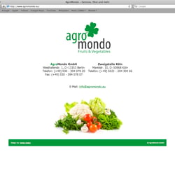 Website – Startseite mit Kontaktangaben