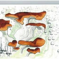 Pilz-Landschaft