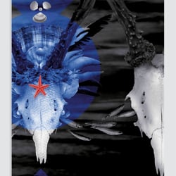 Planfisch-Kalender 2017