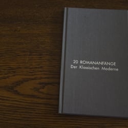20 Romananfänge