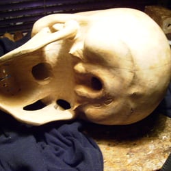 totenkopf, unten