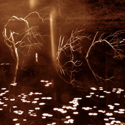 The Mystic Lake – Procession of Witches