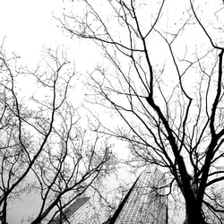 FFM_02