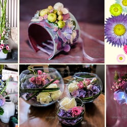 Wedding PinkGreenPurple kl wz